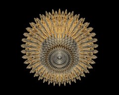 Mandelbulb542a view 3